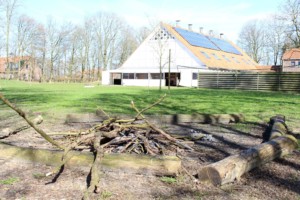 Die Lagerfeuerstelle im handicapgerechten niederländischen Gruppenhaus SuyderZee.