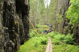 Waldwanderung am finnischen Gruppenhaus Vanamola für Kinder und Jugendfreizeiten.
