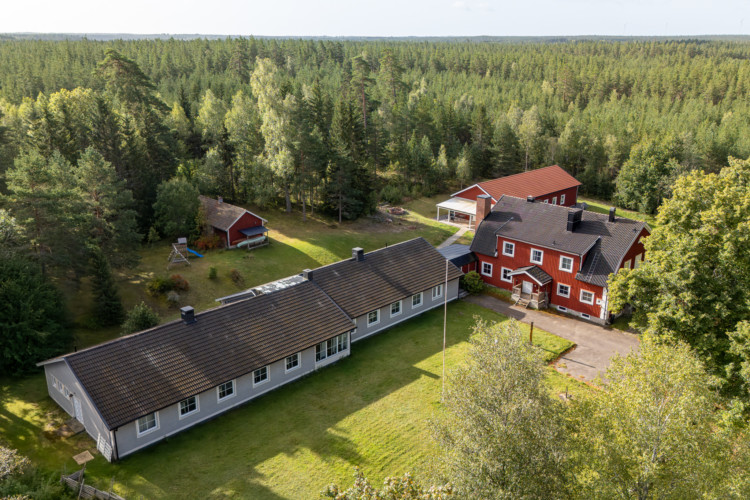 Schwedisches Freizeithaus Hälleberga in der Natur.